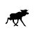 Älg (k)