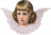 angelrose-farver.png